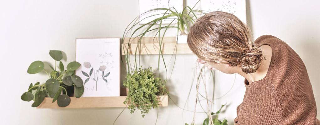 brug masser af grønne planter i stuen